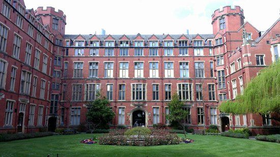 Università di Sheffield